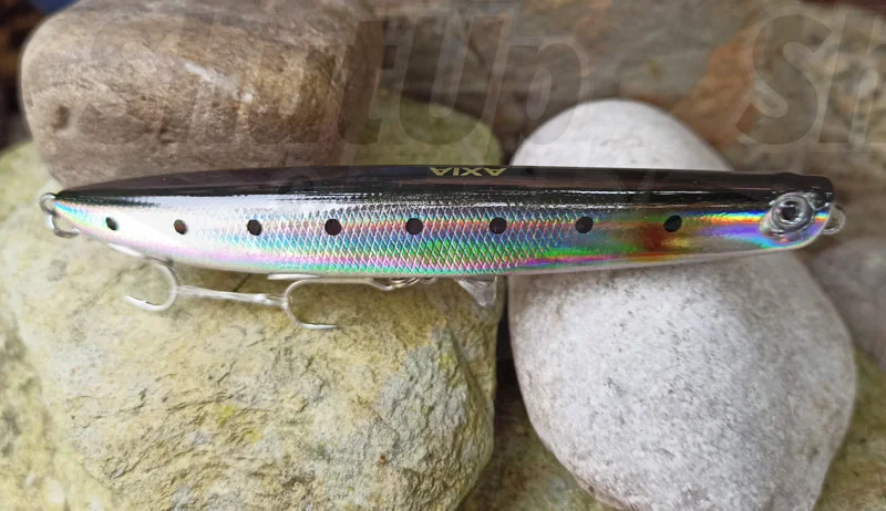 Silver Sardine