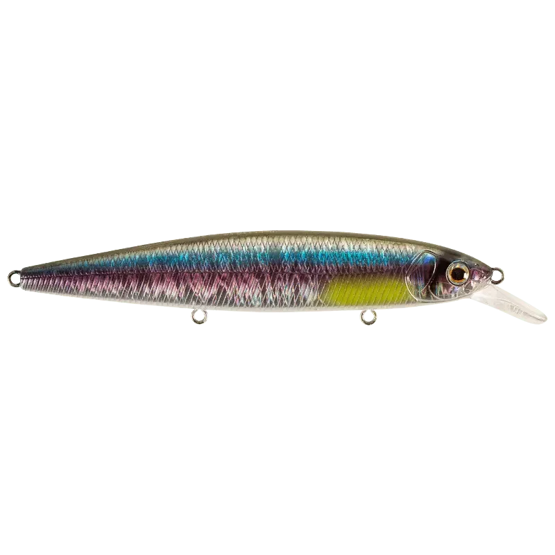 Rainbow Shad