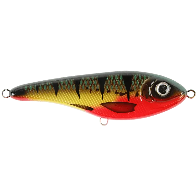 Red Perch