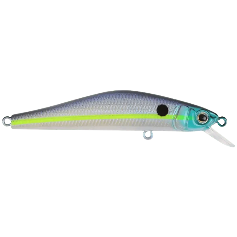 Ghost Shad V2