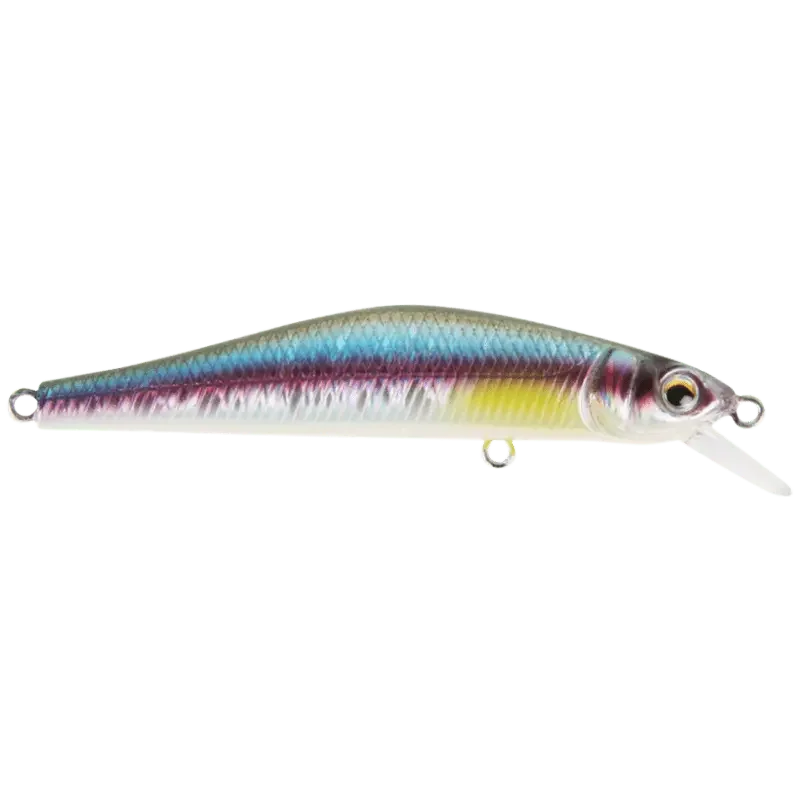 Rainbow Shad