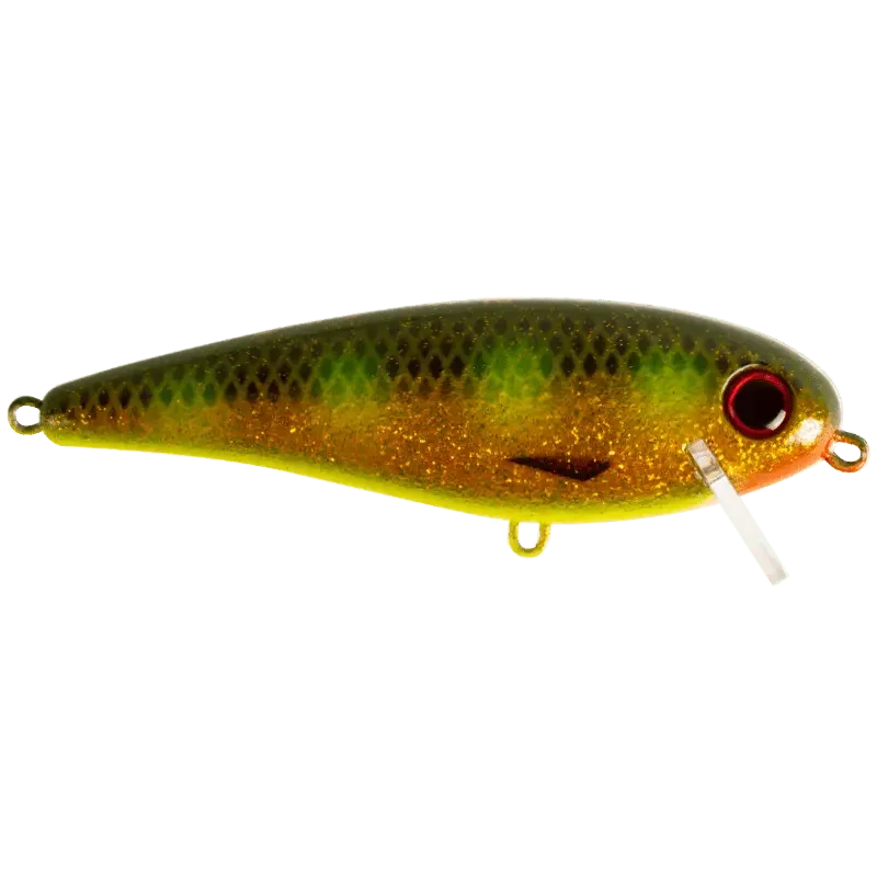 Hot Spotted Bullhead