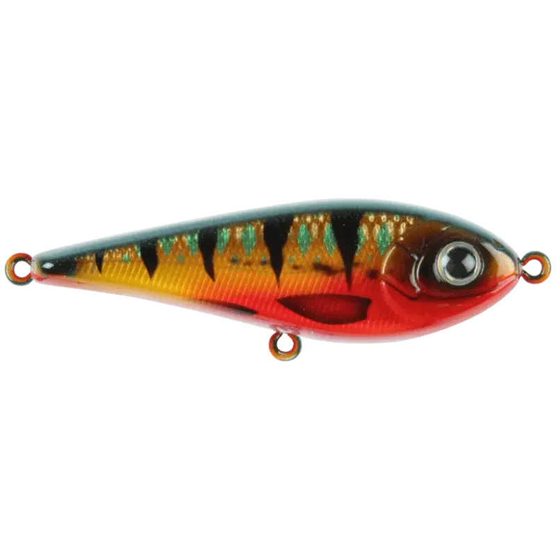 Red Perch