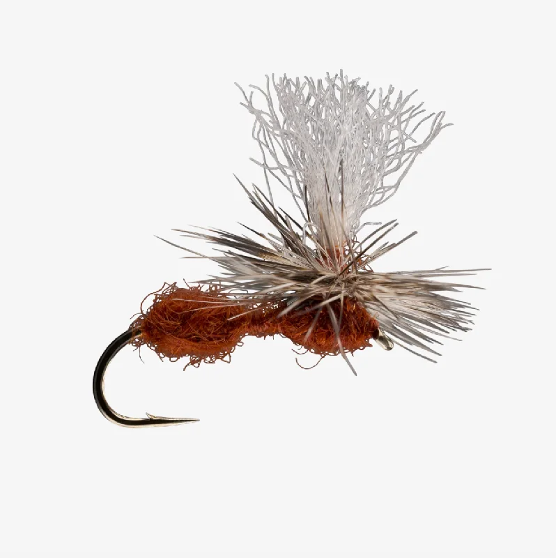 Best Fly Fishing Flies For Dead Drift-Parachute Ant