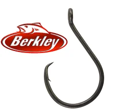 Jig Fishing Hook-Berkley Fusion19 Offset Circle