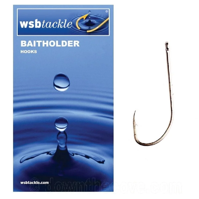 Best Fishing Hook With Long Shank-WSB Baitholder Hooks